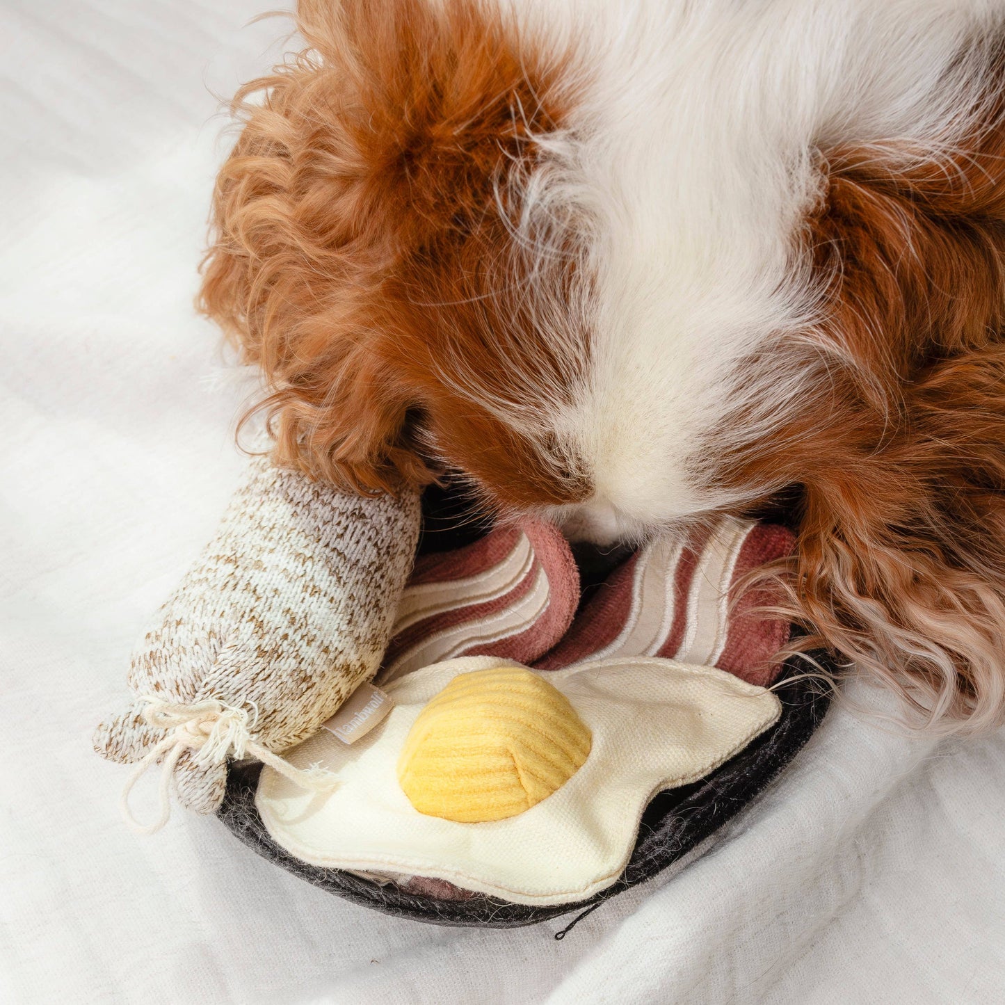 Breakfast Set  Dog Toy