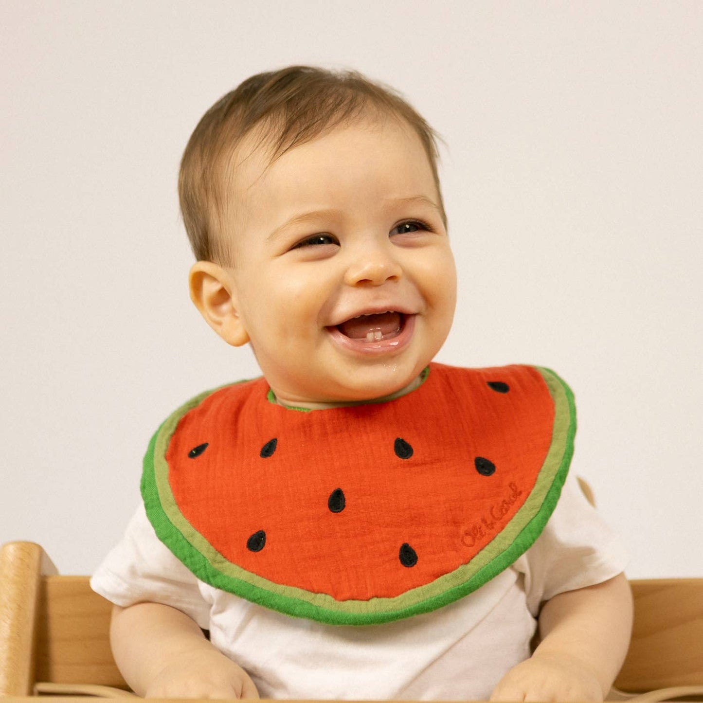 Wally The Watermelon Bib
