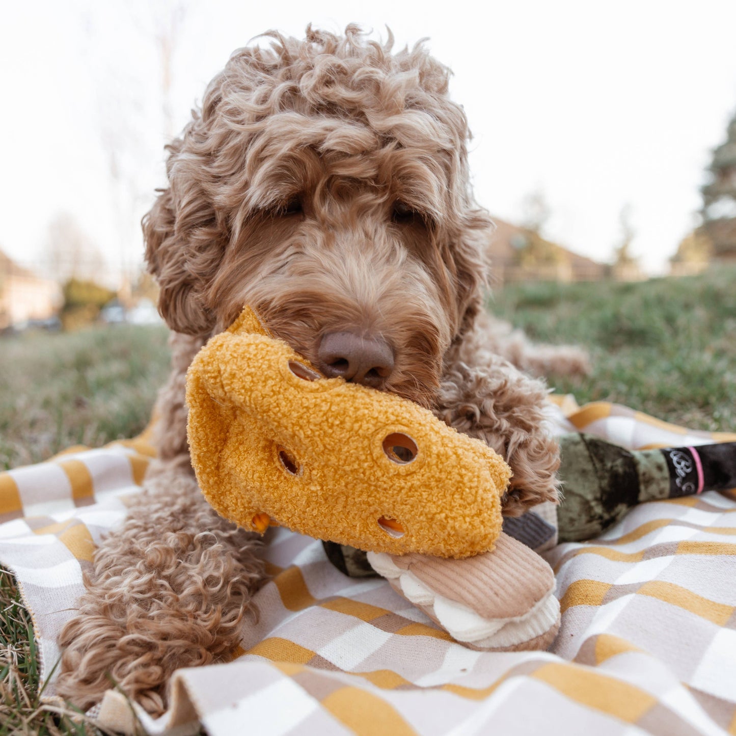 Fromage Enrichment Dog Toy