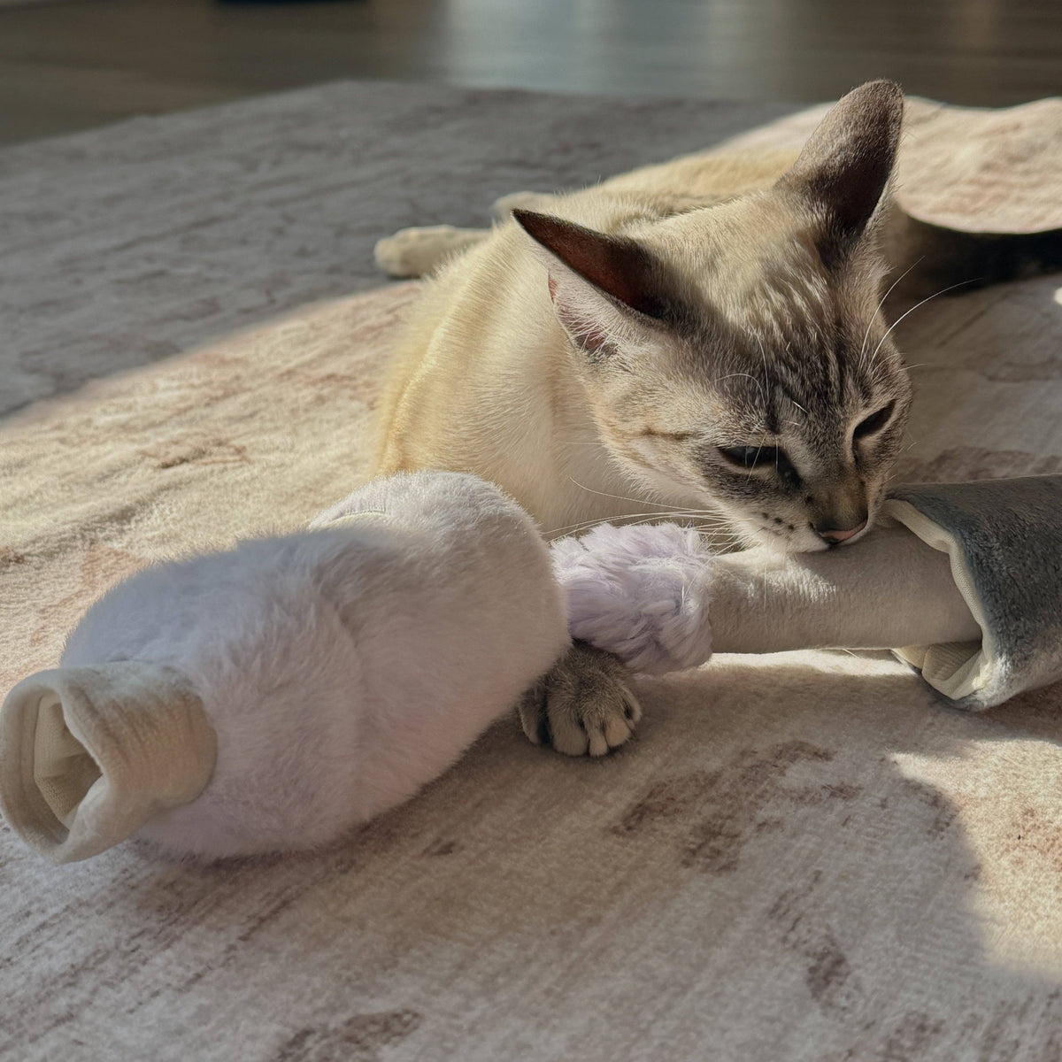 Kitty Nail Polisher