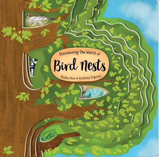 Discovering the World of Bird Nests -Children's Picture Book