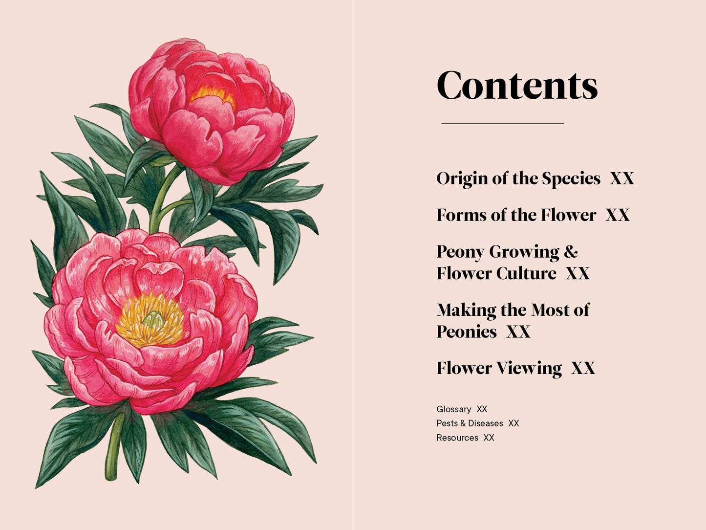 A Little Book of Flowers: Peonies