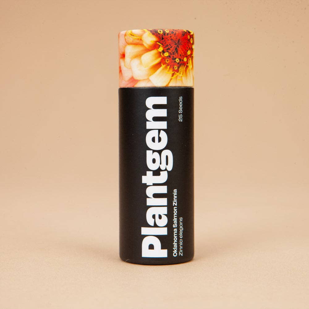 Oklahoma Salmon Zinnia - 100 Seeds