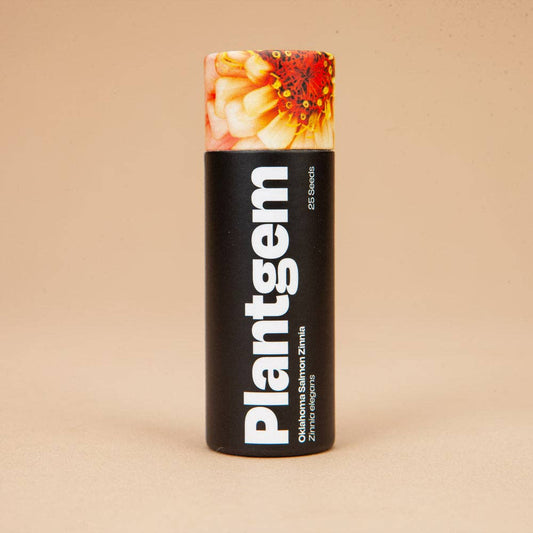 Oklahoma Salmon Zinnia - 100 Seeds