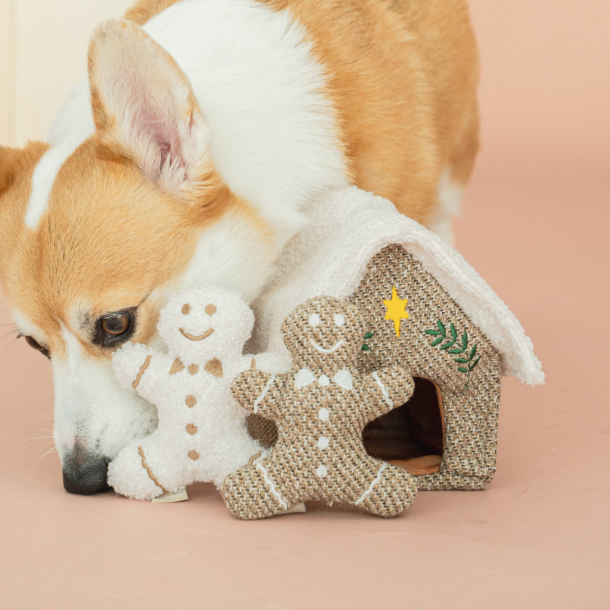 GINGERBREAD HOUSE//ENRICHMENT DOG TOY