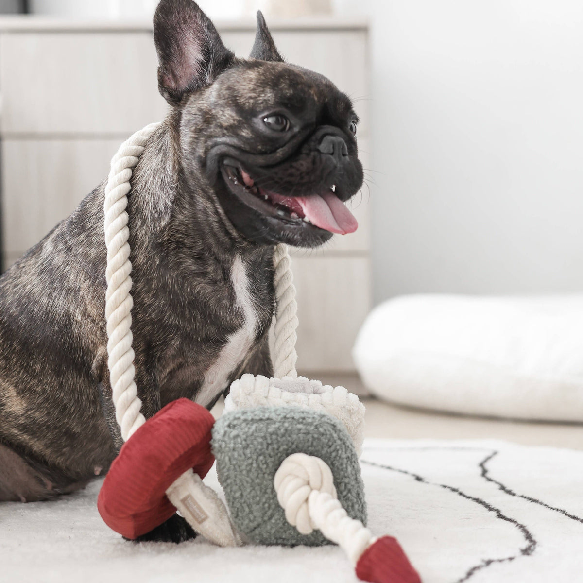 XMAS BLOCS // ENRICHMENT DOG TOY