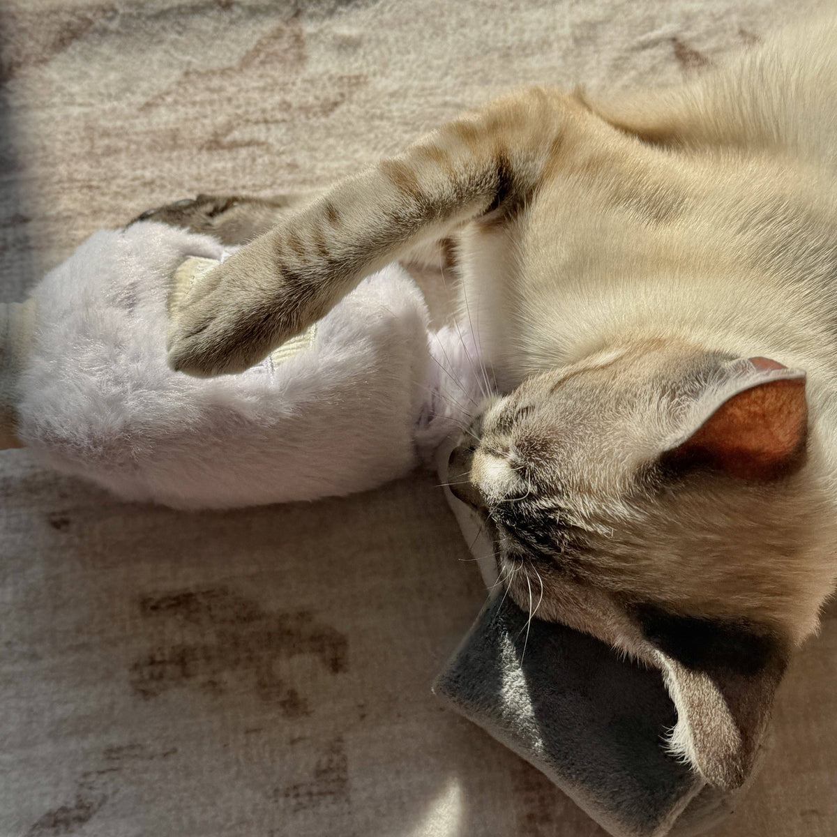 Kitty Nail Polisher