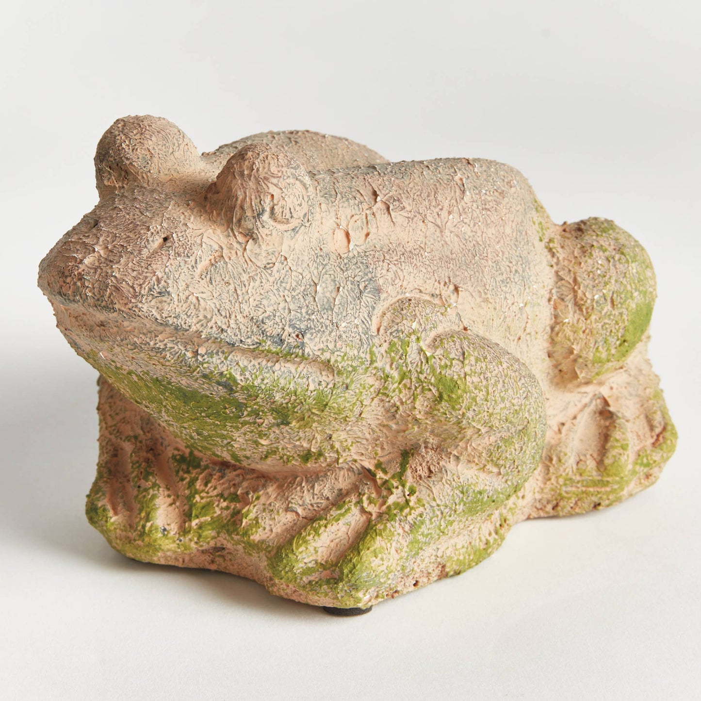 Weathered Garden Frog, Brown