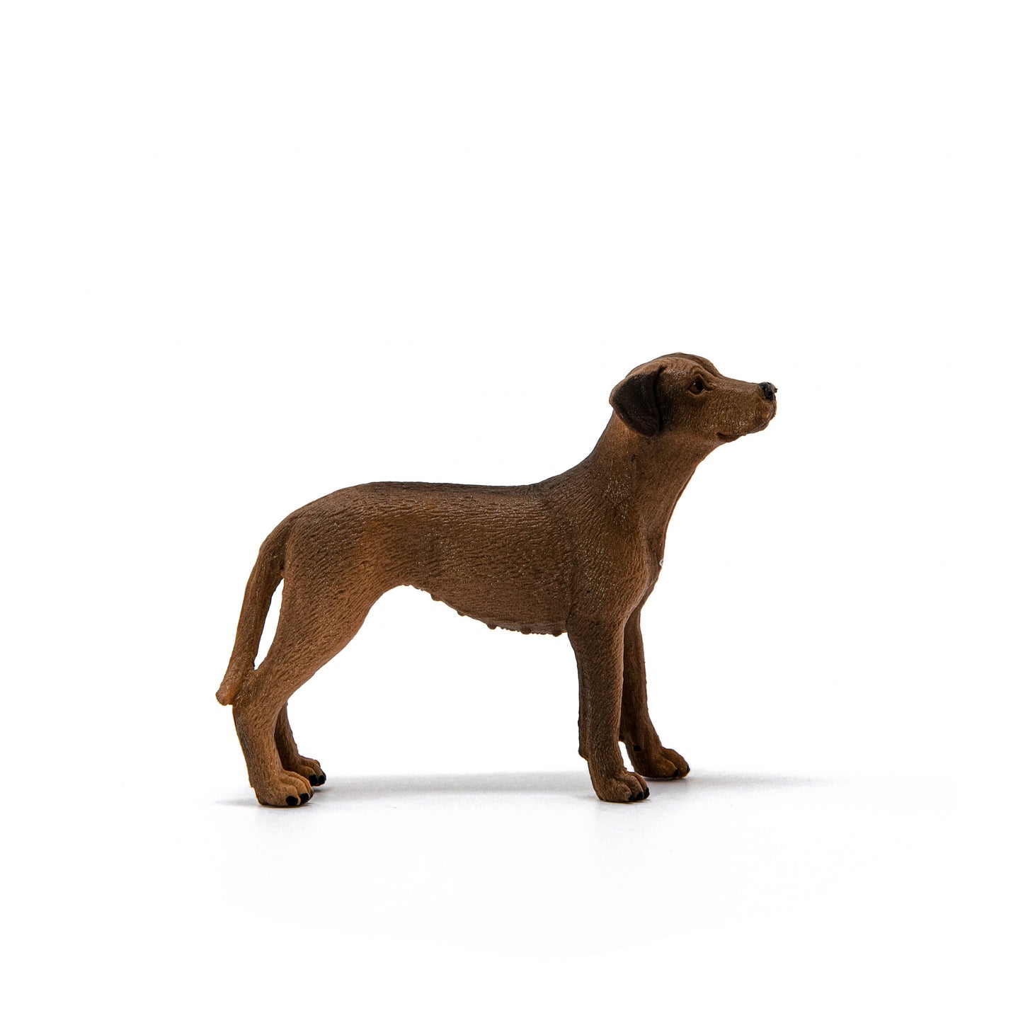 Rhodesian Ridgeback Farm Dog Toy