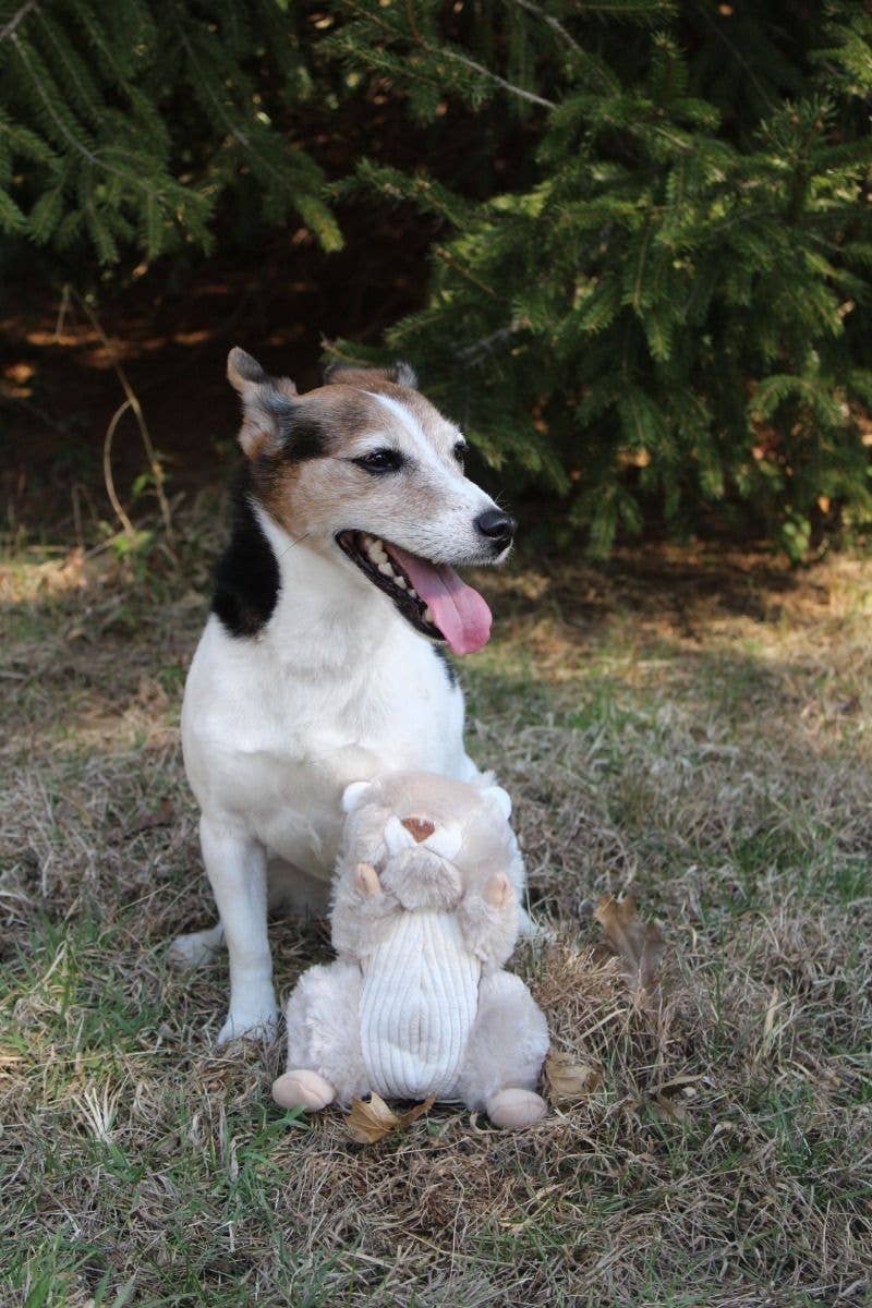 Tall Tails Animated Squirrel Toy