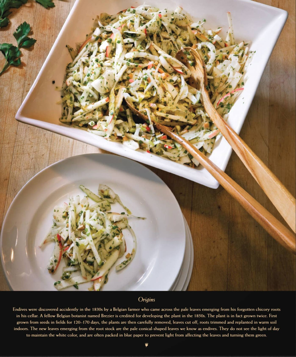 A Menu for all Seasons—Winter Cookbook