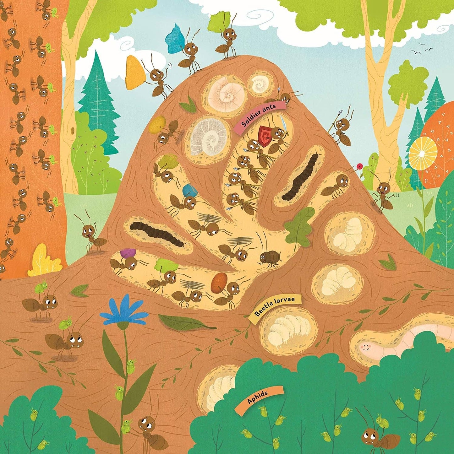 Discovering the Active World of the Anthill - Picture Book