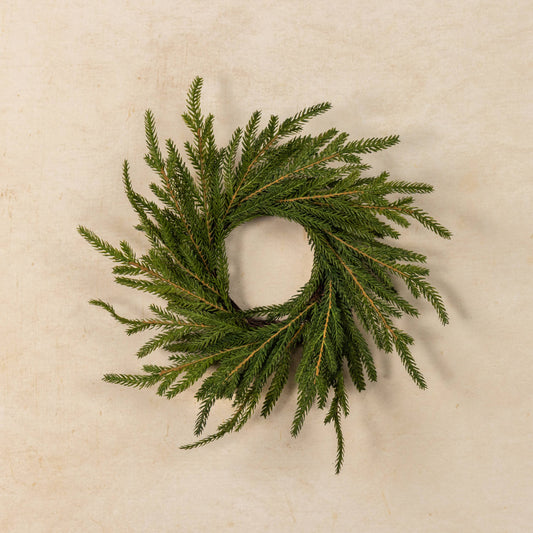 12" SOFT TOUCH NORFOLK PINE CANDLE RING