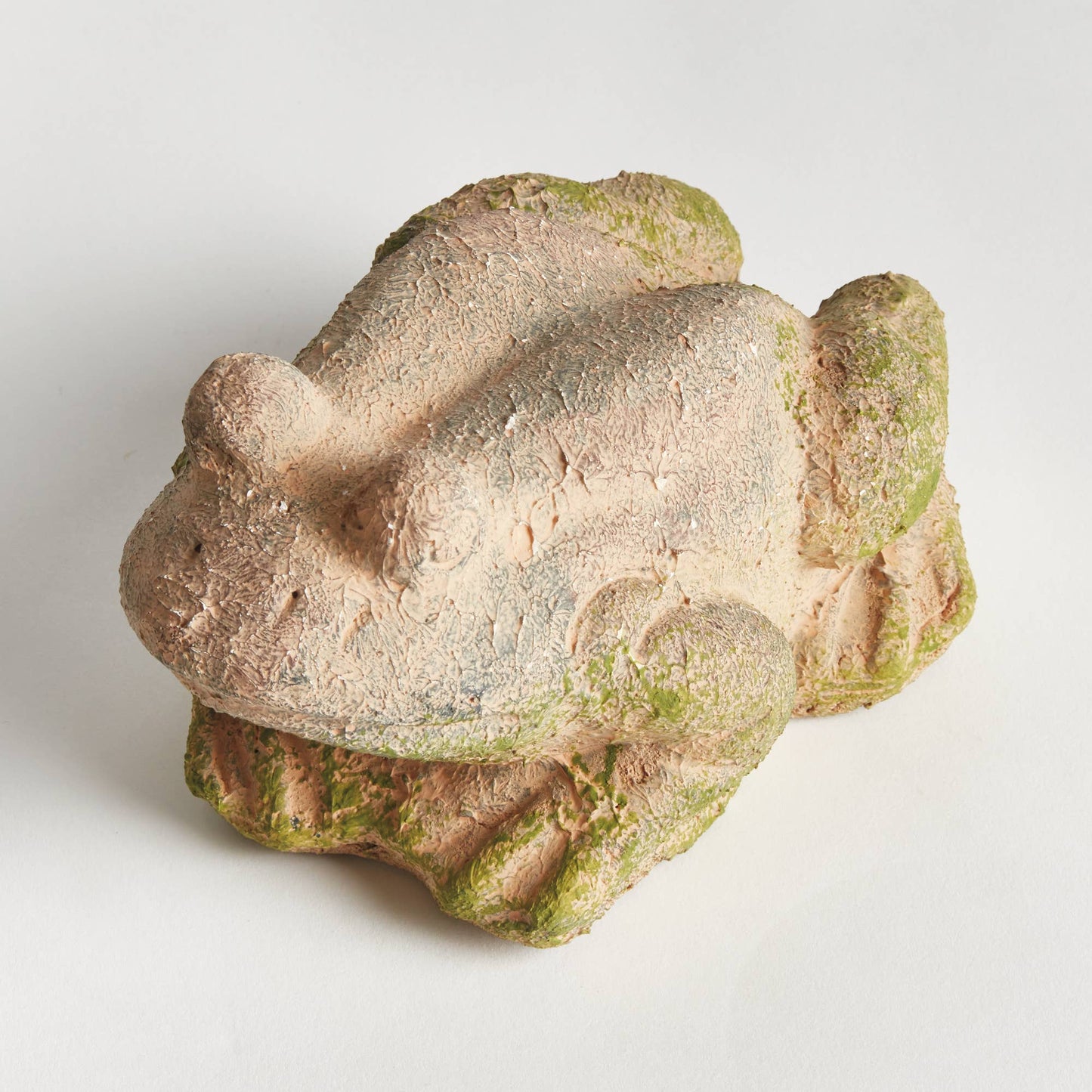 Weathered Garden Frog, Brown
