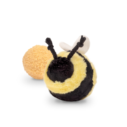Bee Pop Dog Toy