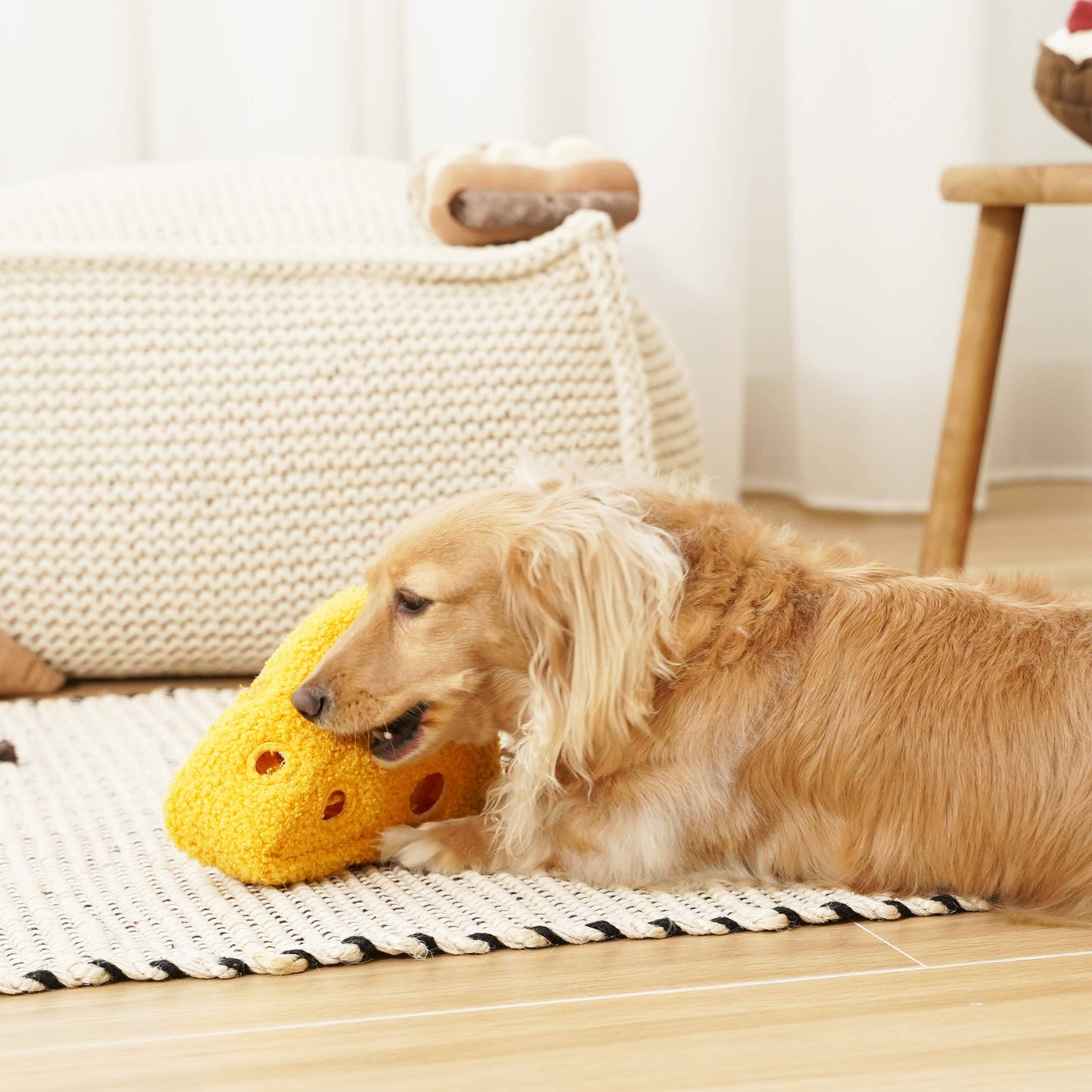 Fromage Enrichment Dog Toy