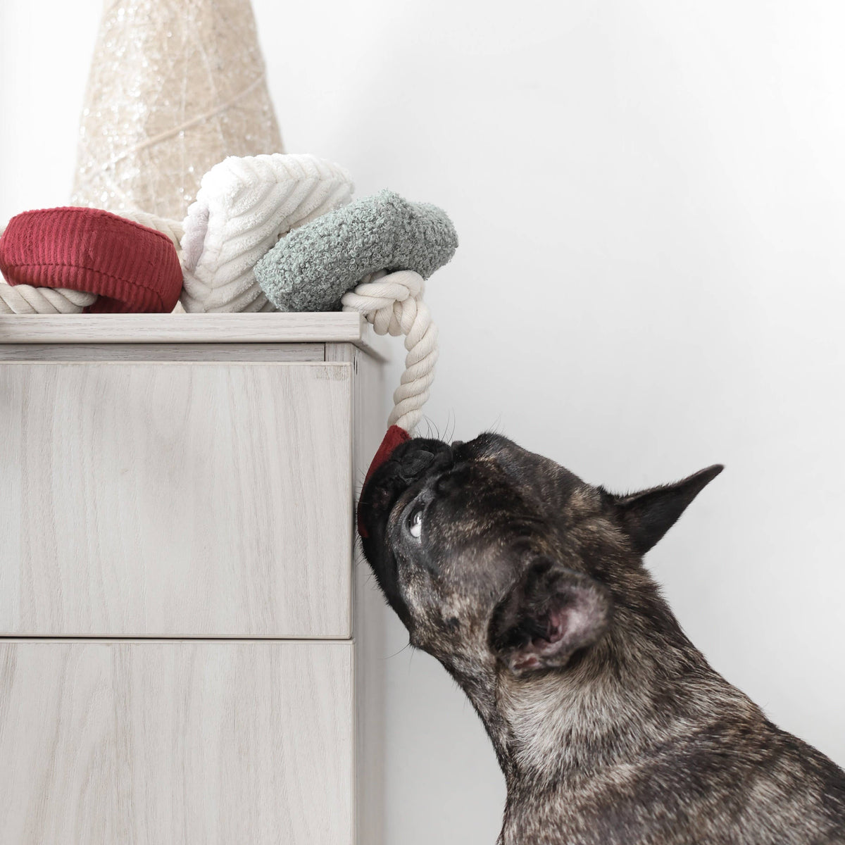 XMAS BLOCS // ENRICHMENT DOG TOY