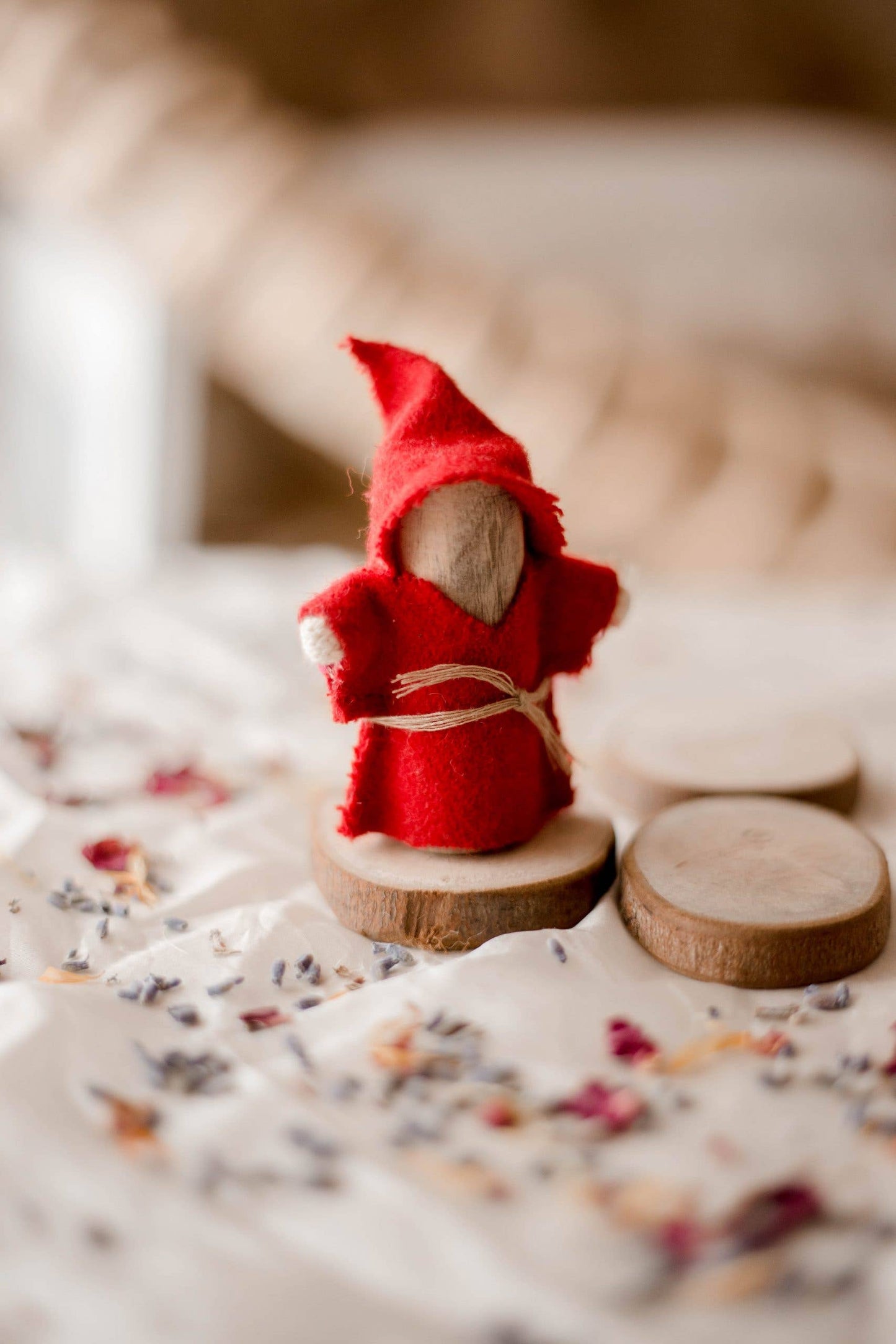 Coco Gnome House
