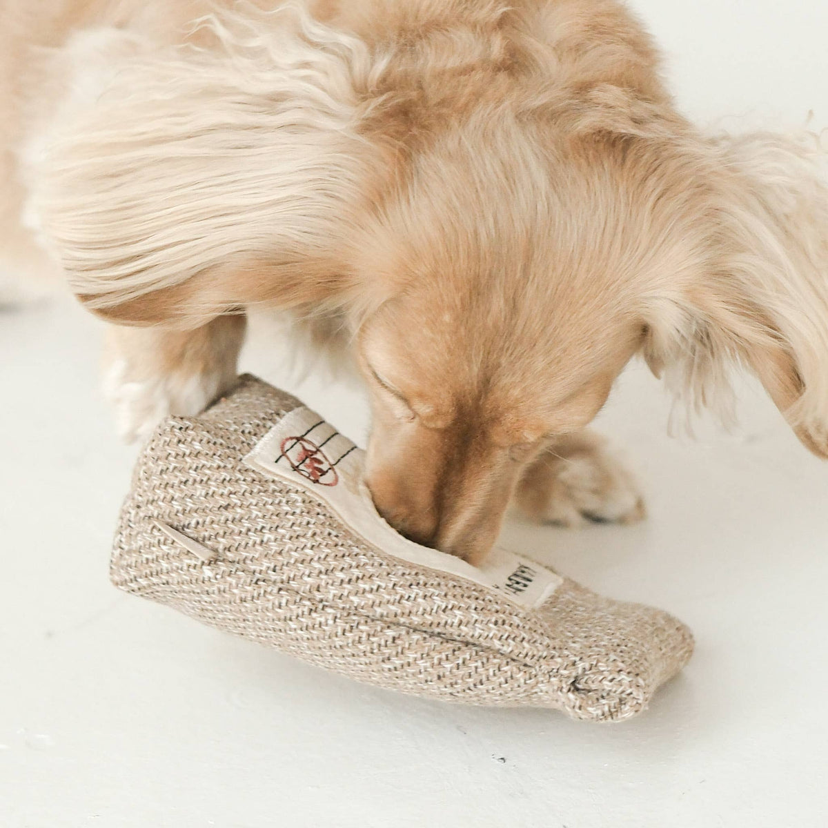 Coffee Beans // ENRICHMENT DOG TOY
