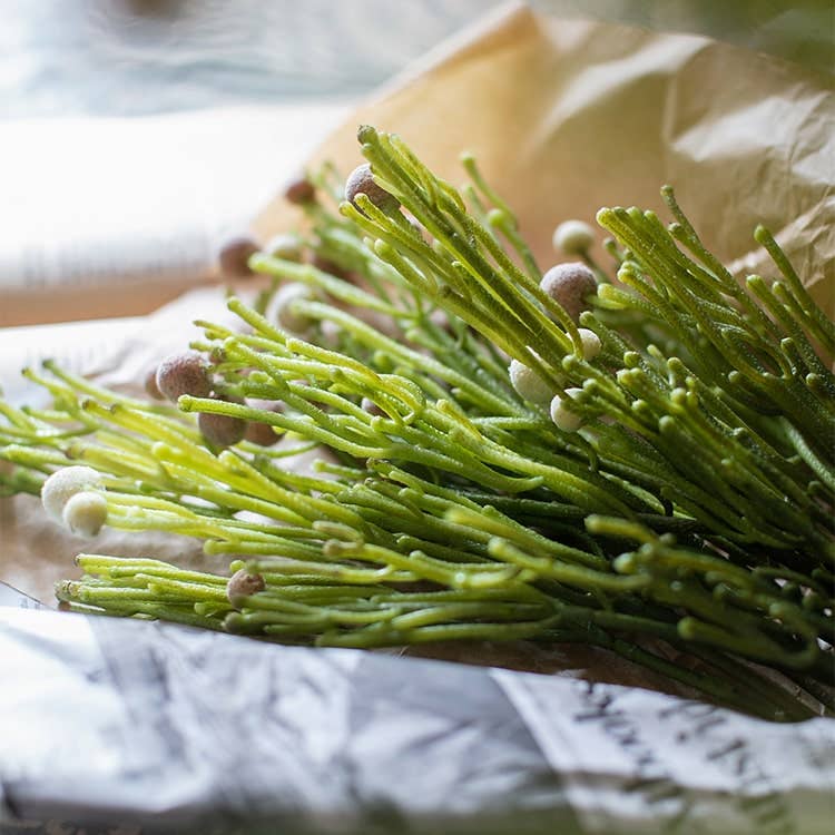 Artificial Berzelia Stem 24" Tall: Three Stems / Pale Red