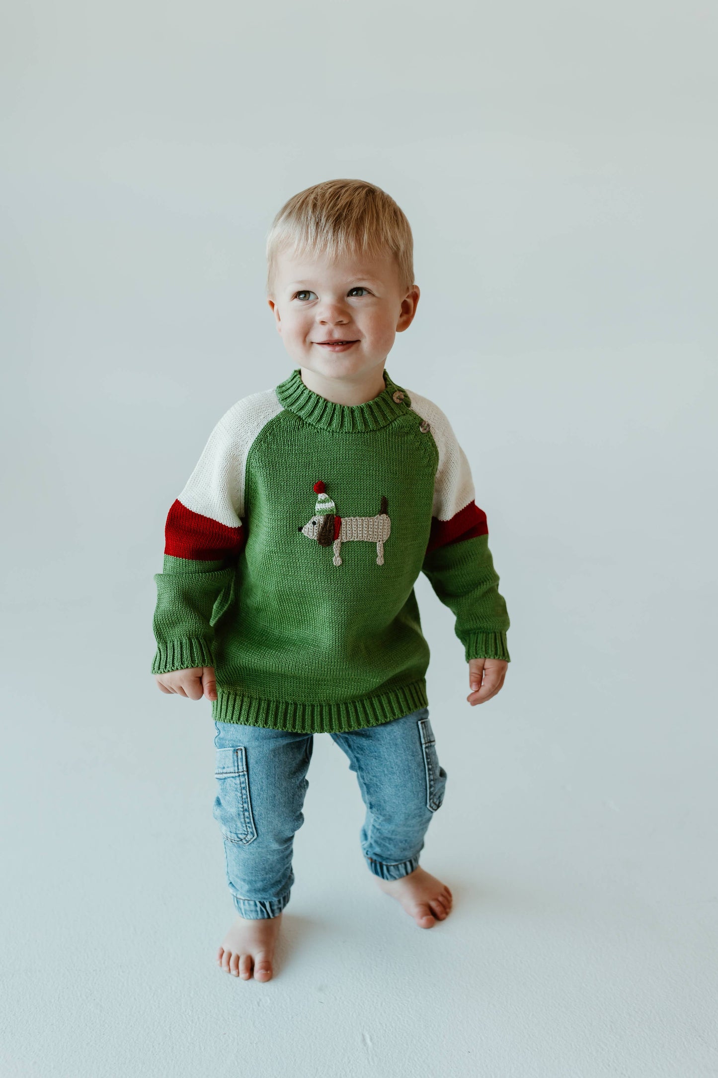 Holiday Dog Sweater: 12 months