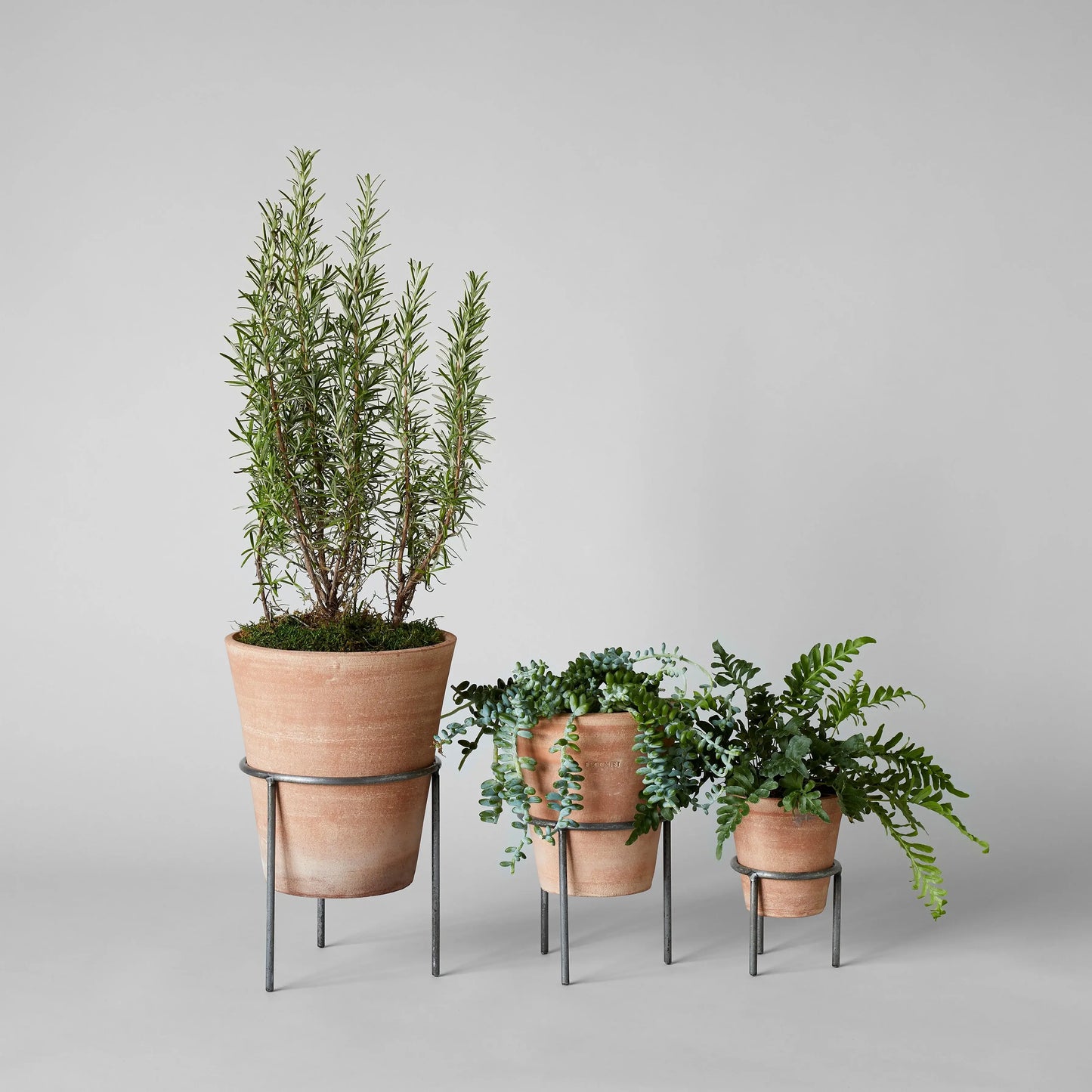 Wrought Iron Planter Stand: Large