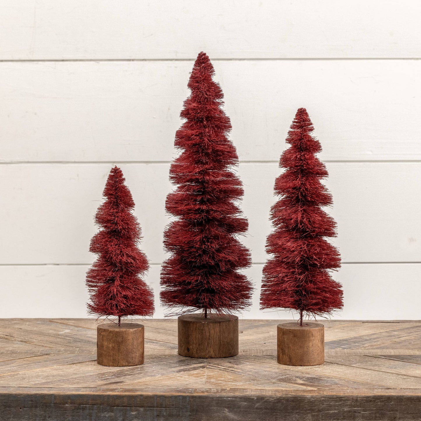 Burgundy Spiral Bottlebrush Trees