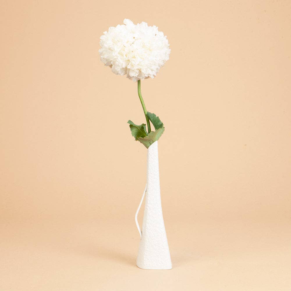 Cream Peony Breadseed Poppy - 25 Seeds