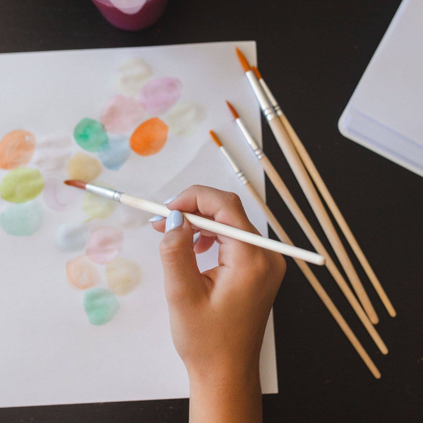 Premium Paintbrush Set