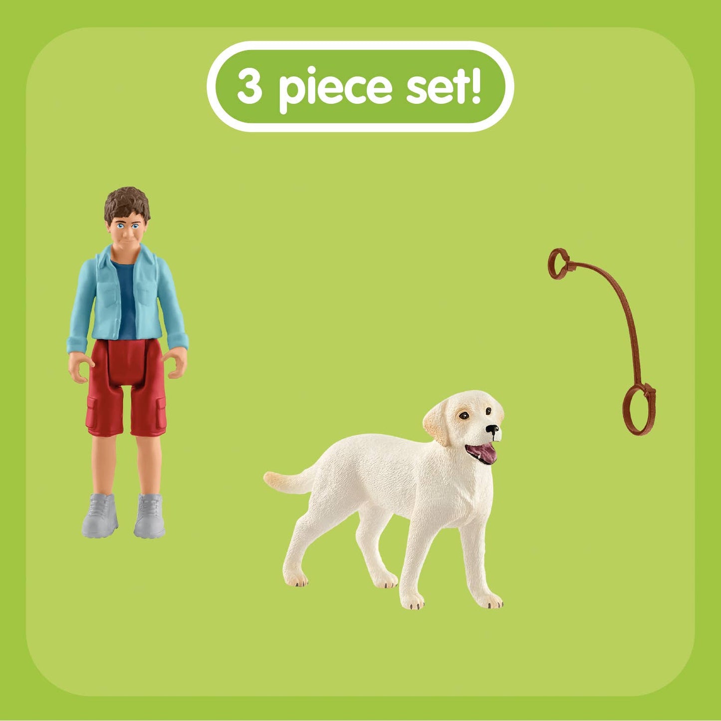 Walking with Labrador retriever Playset