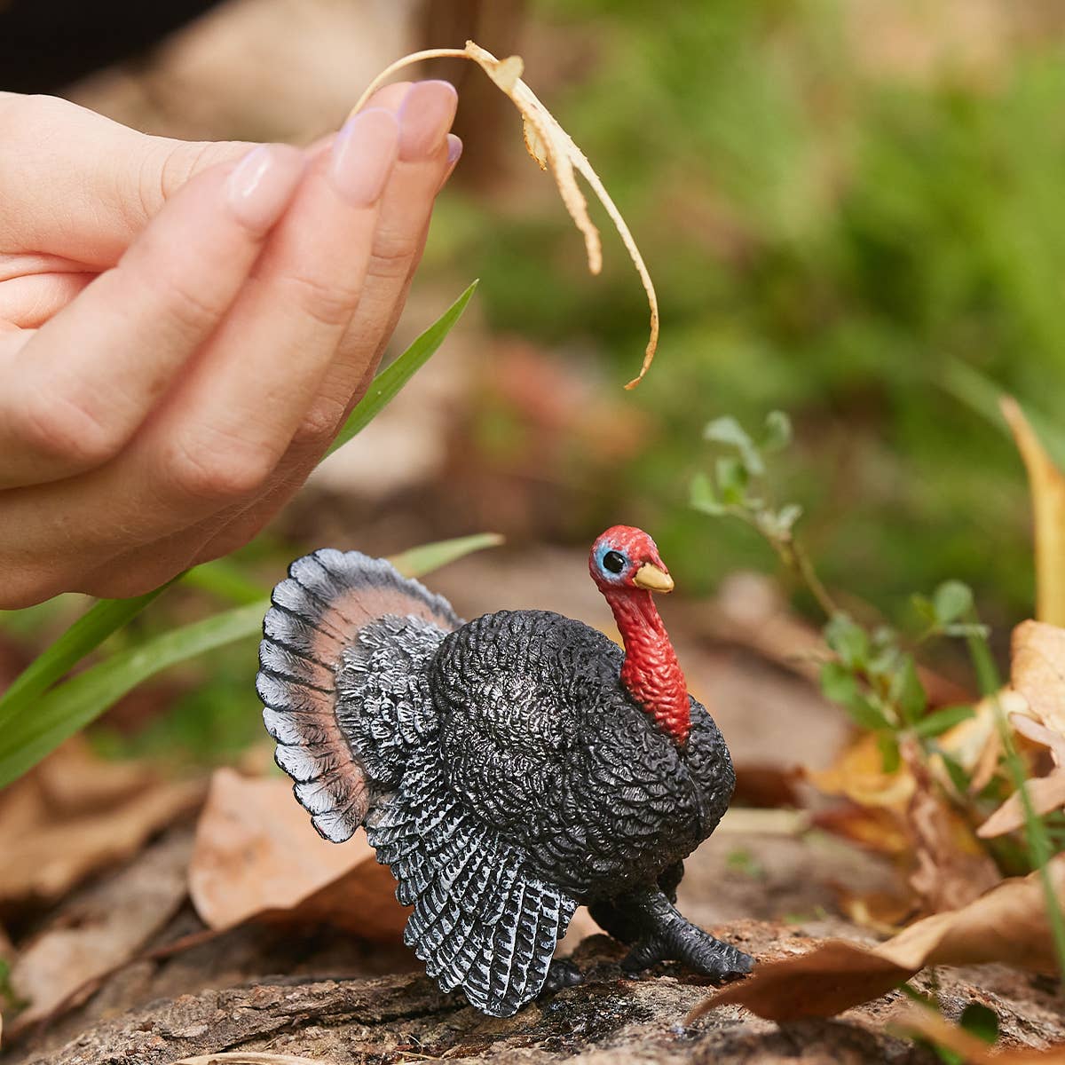 Turkey Farm Animal Toy