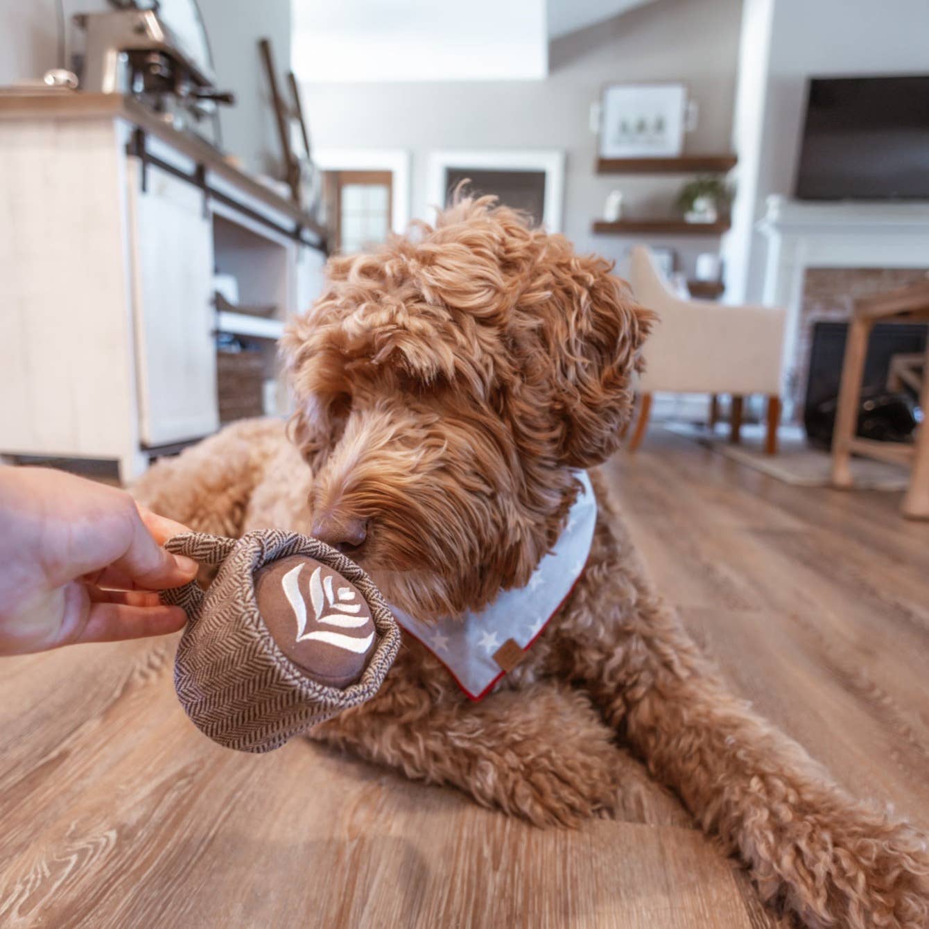 Latte Enrichment Dog Toy