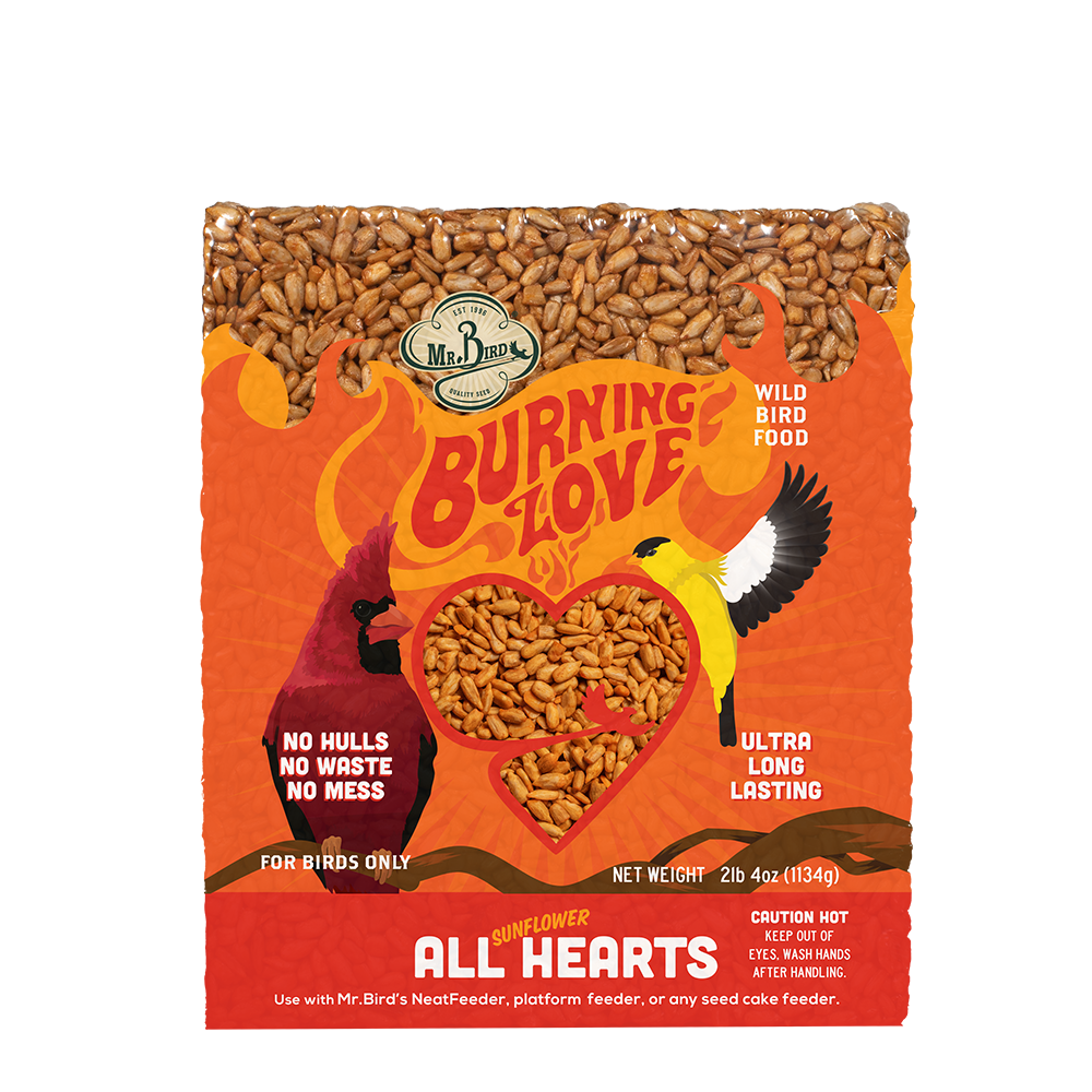 Burning Love Cake : Small