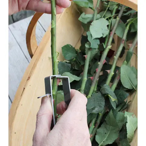 Essential Tools - Thorn Stripper