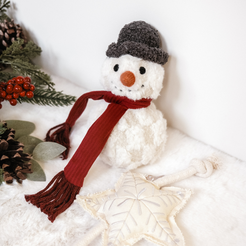 SNOWMAN//ENRICHMENT DOG TOY