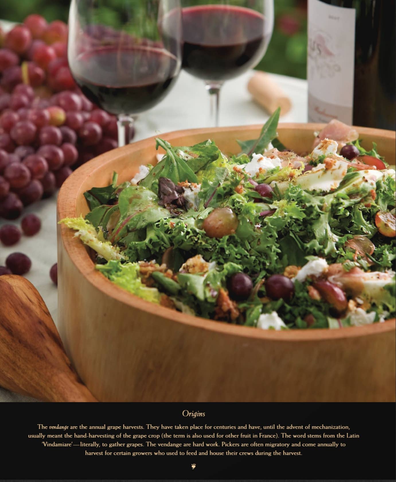 A Menu for all Seasons—Autumn Cookbook