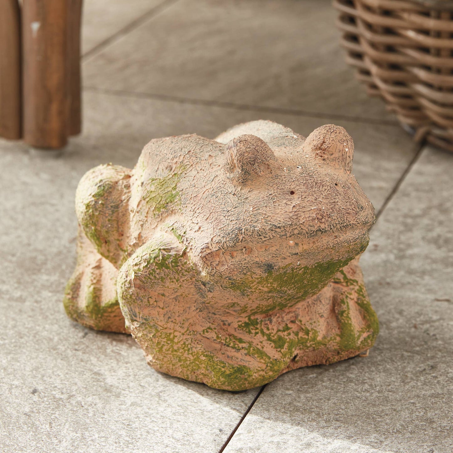 Weathered Garden Frog, Brown