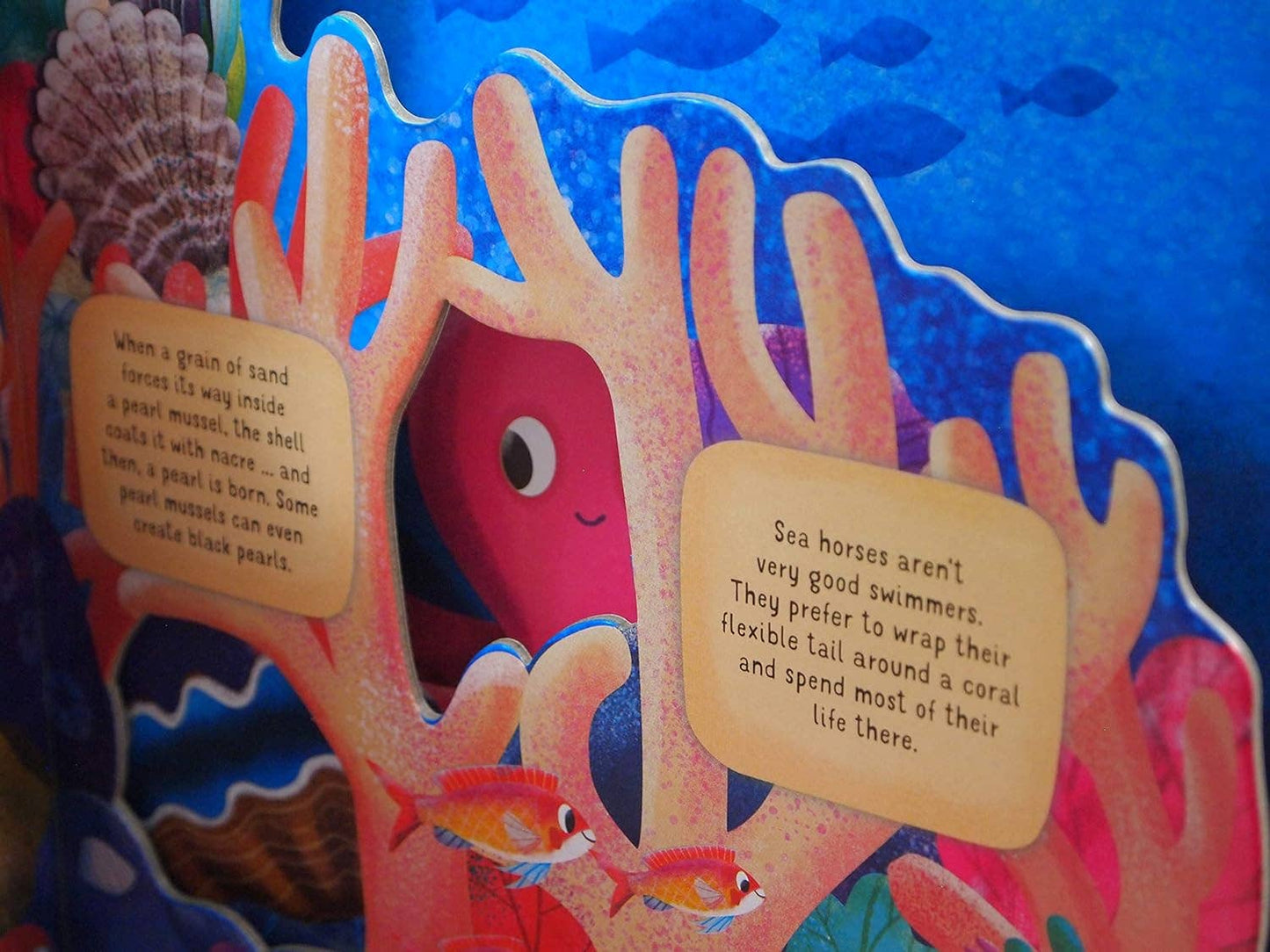 Discovering the Secret World: Coral Reef -Kid's Picture Book