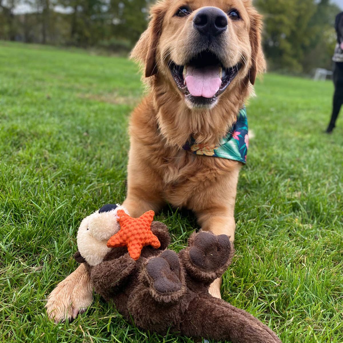 Otter Rope Body Dog Toy