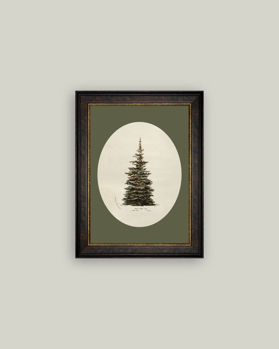 Oval Matte Tree Framed Antique Art: 14x18