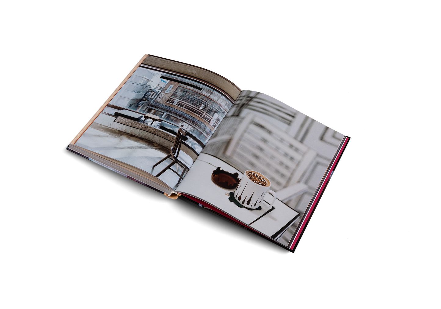 Spill the Beans (Updated Edition)