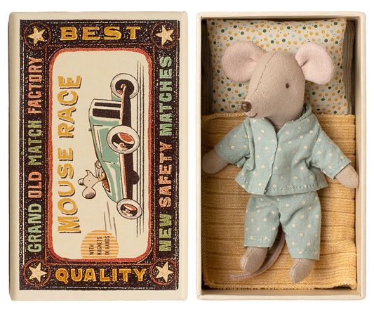 Little brother mouse in matchbox