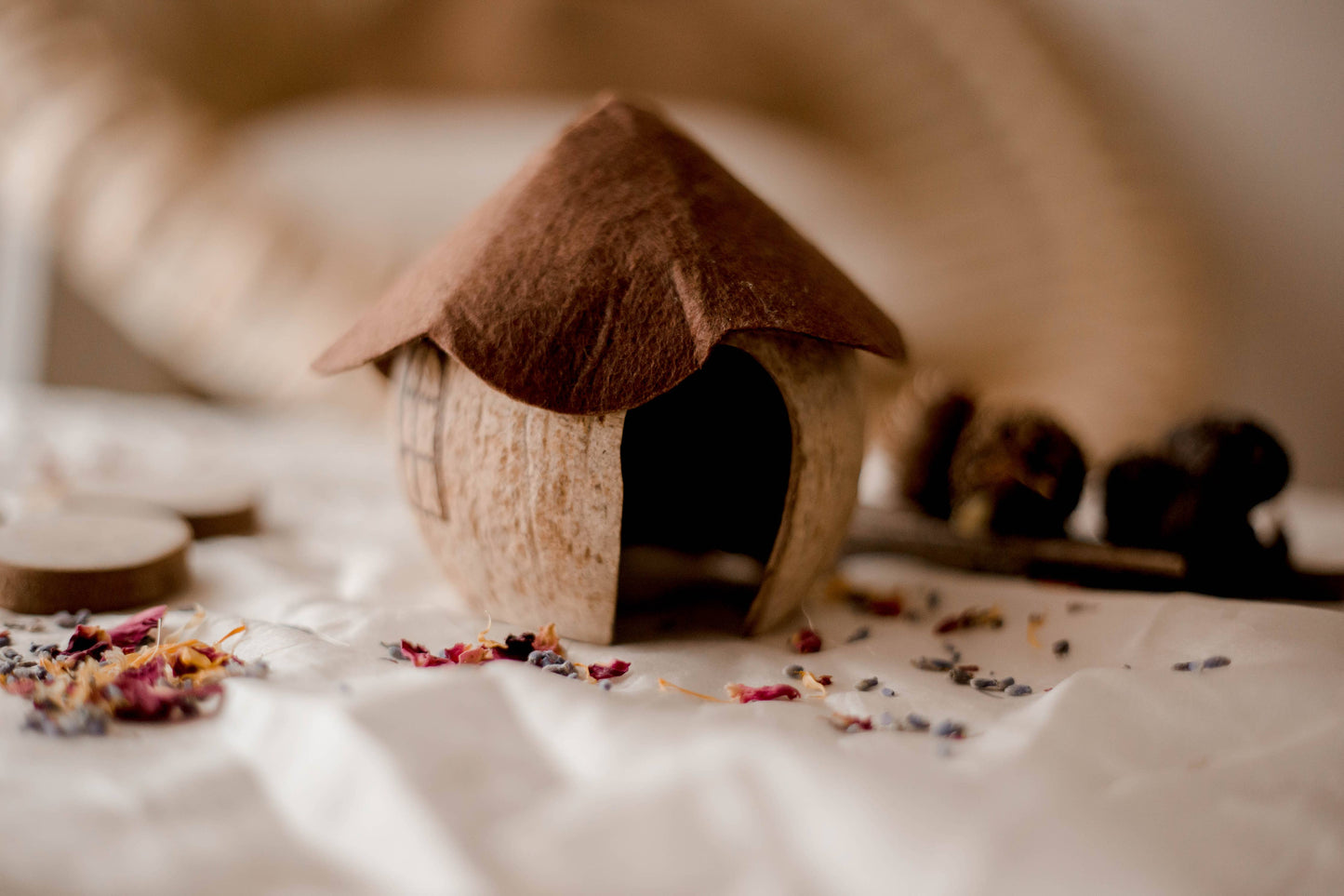 Coco Gnome House