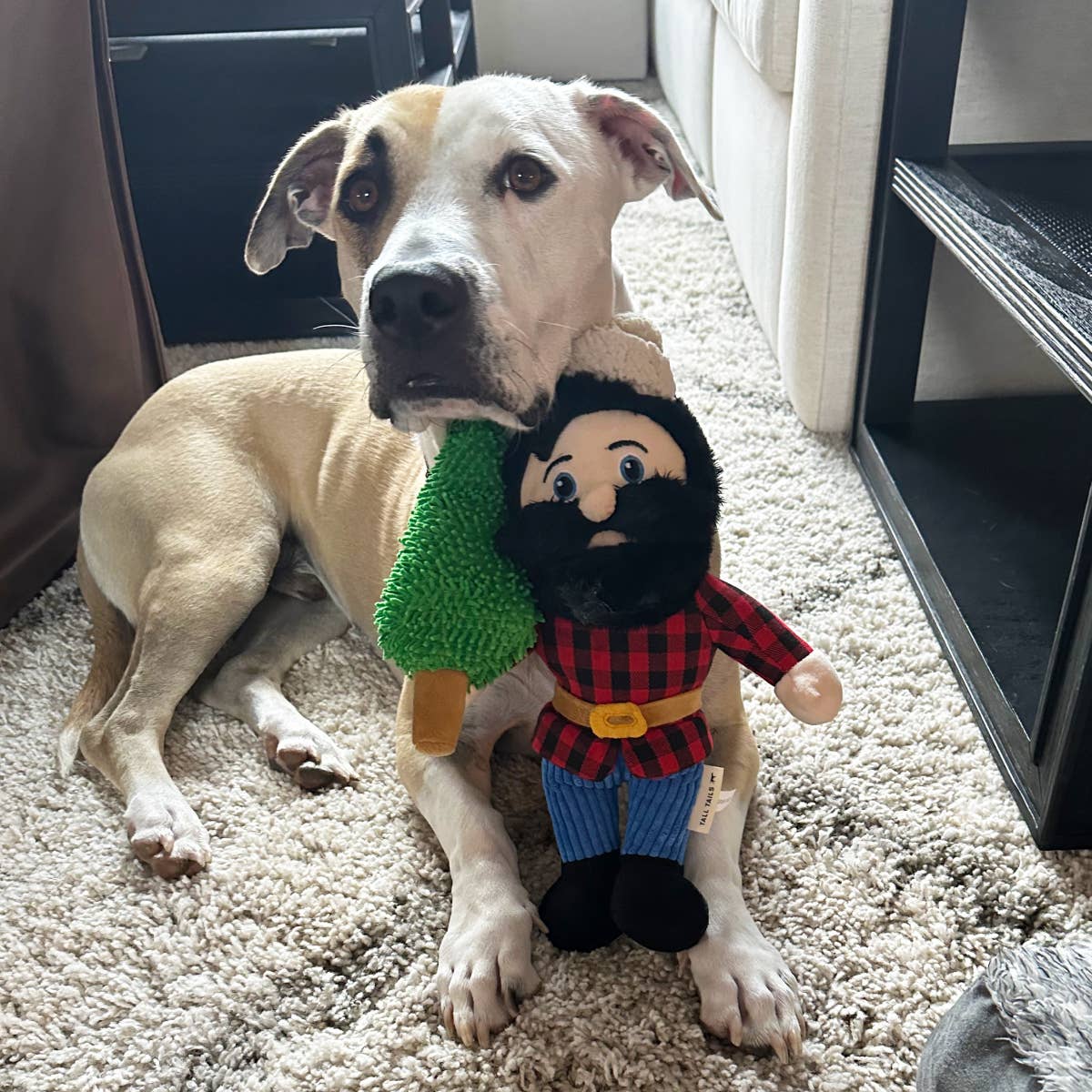 Paul Bunyan Rope Body Dog Toy