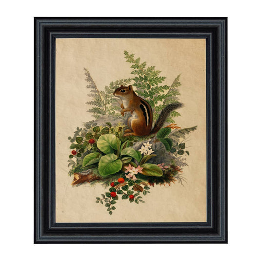 Woodland Chipmunk Cottagecore Framed Reproduction Print: 8" x 10"