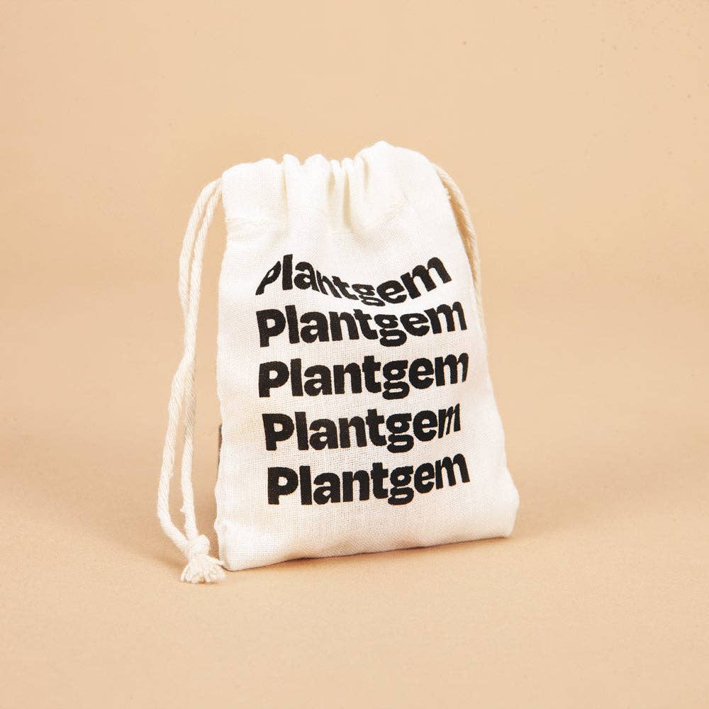 Ranunculus Elegance Pastello - 15 Corms