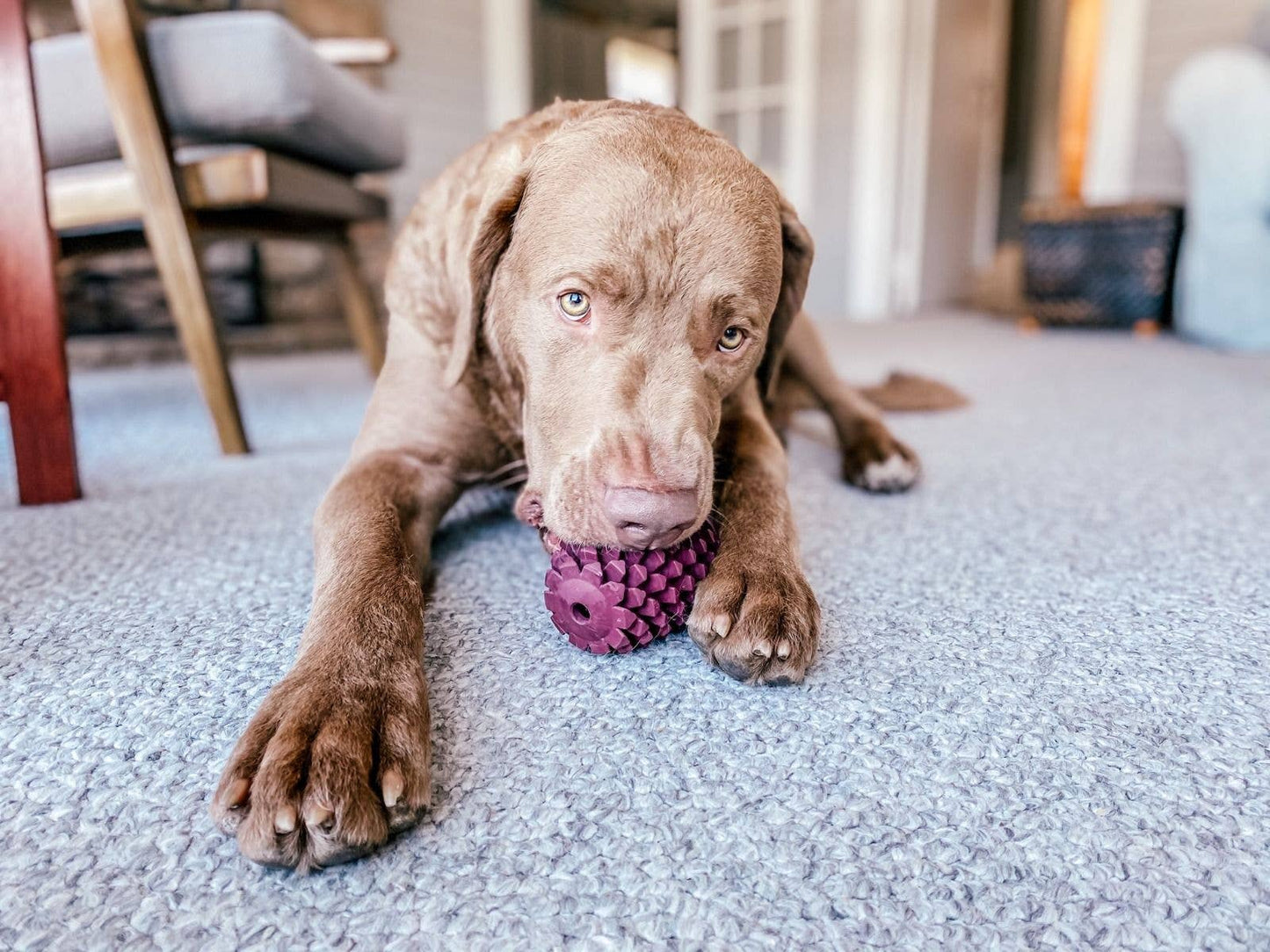 Tall Tails Natural Rubber Pinecone Toy