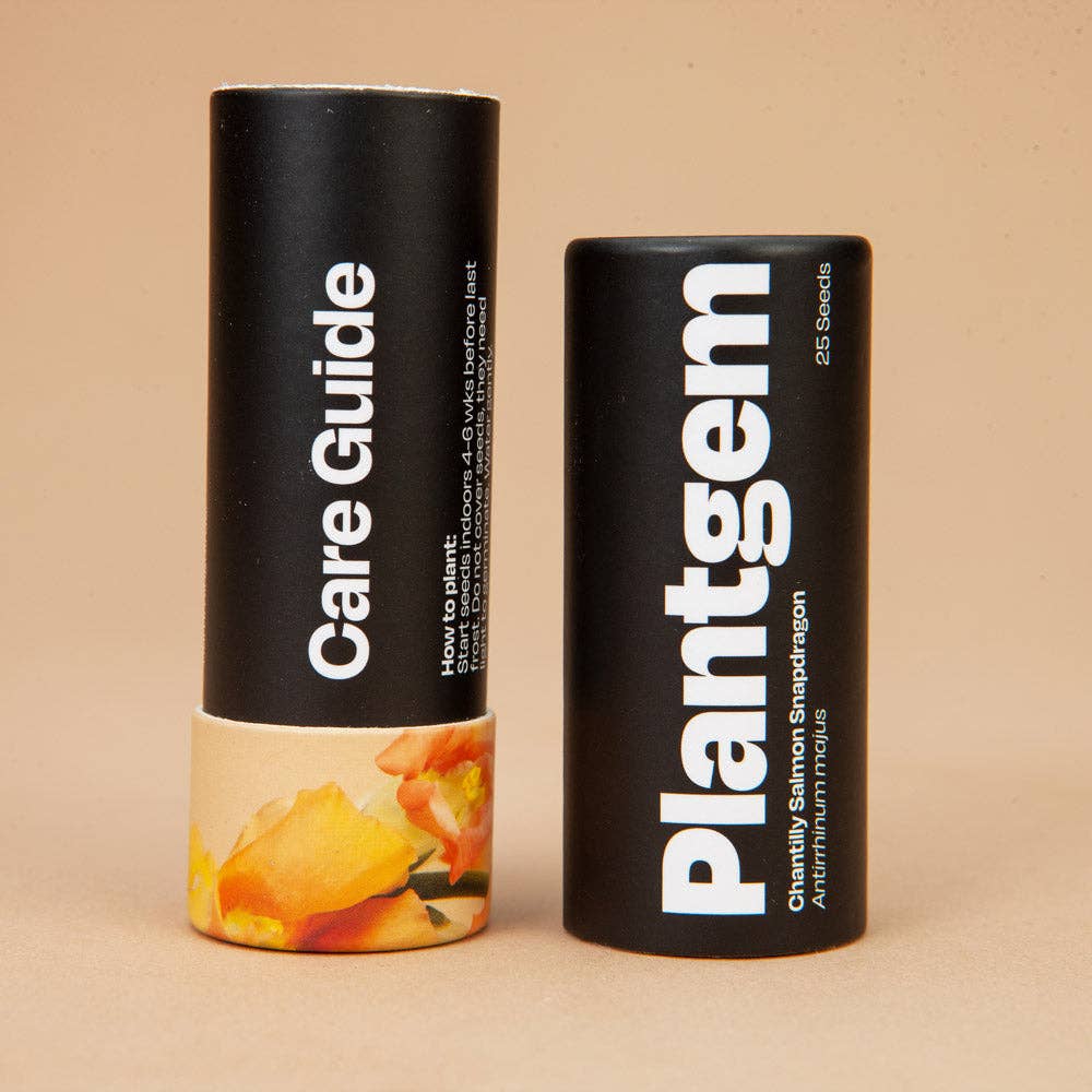 Chantilly Salmon Snapdragon - 50 Seeds