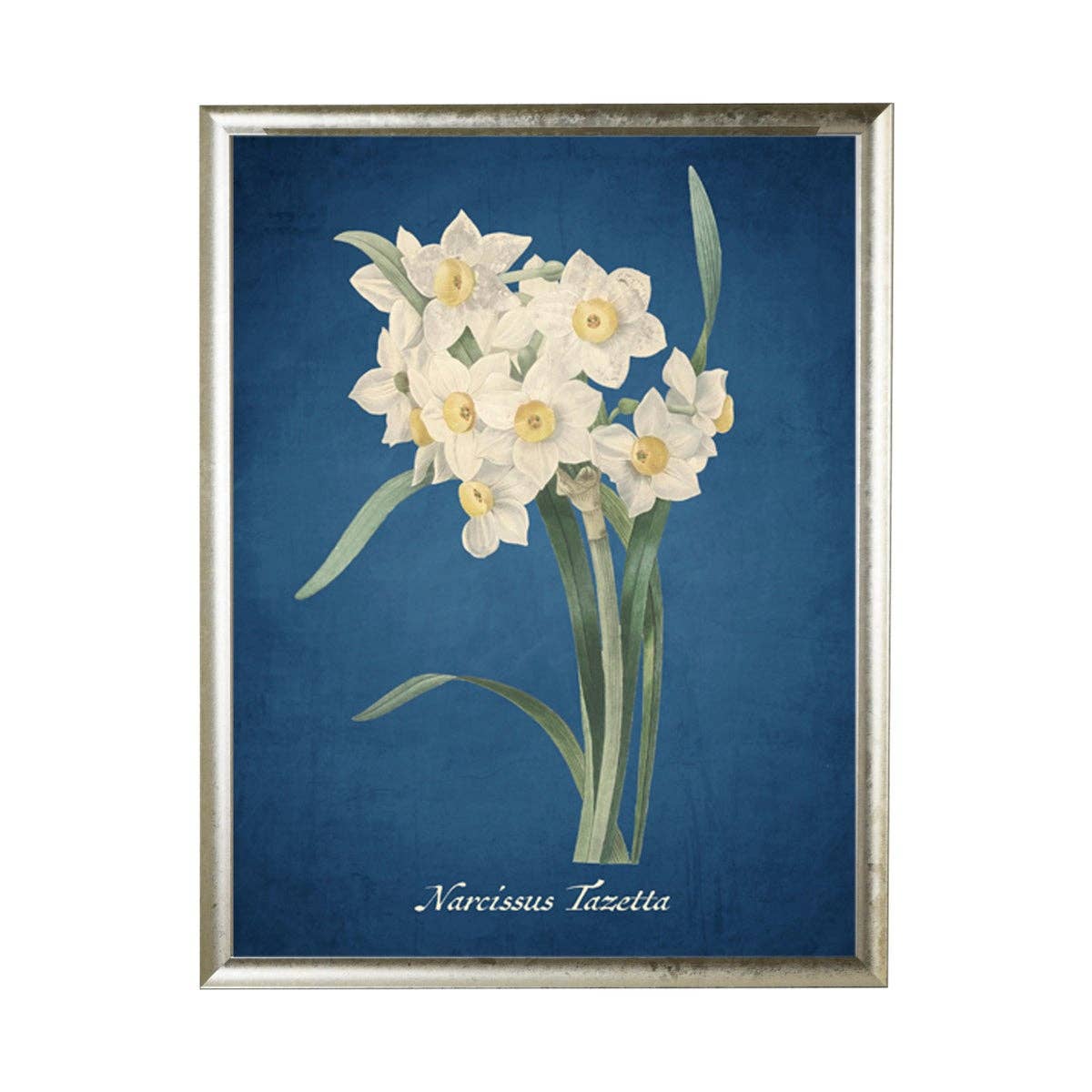 Daffodil Illustration On A Navy Background: 10" X 8" / Gold Frame