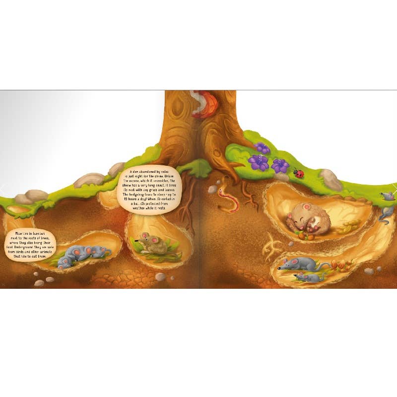 Board Book - Underground Layered